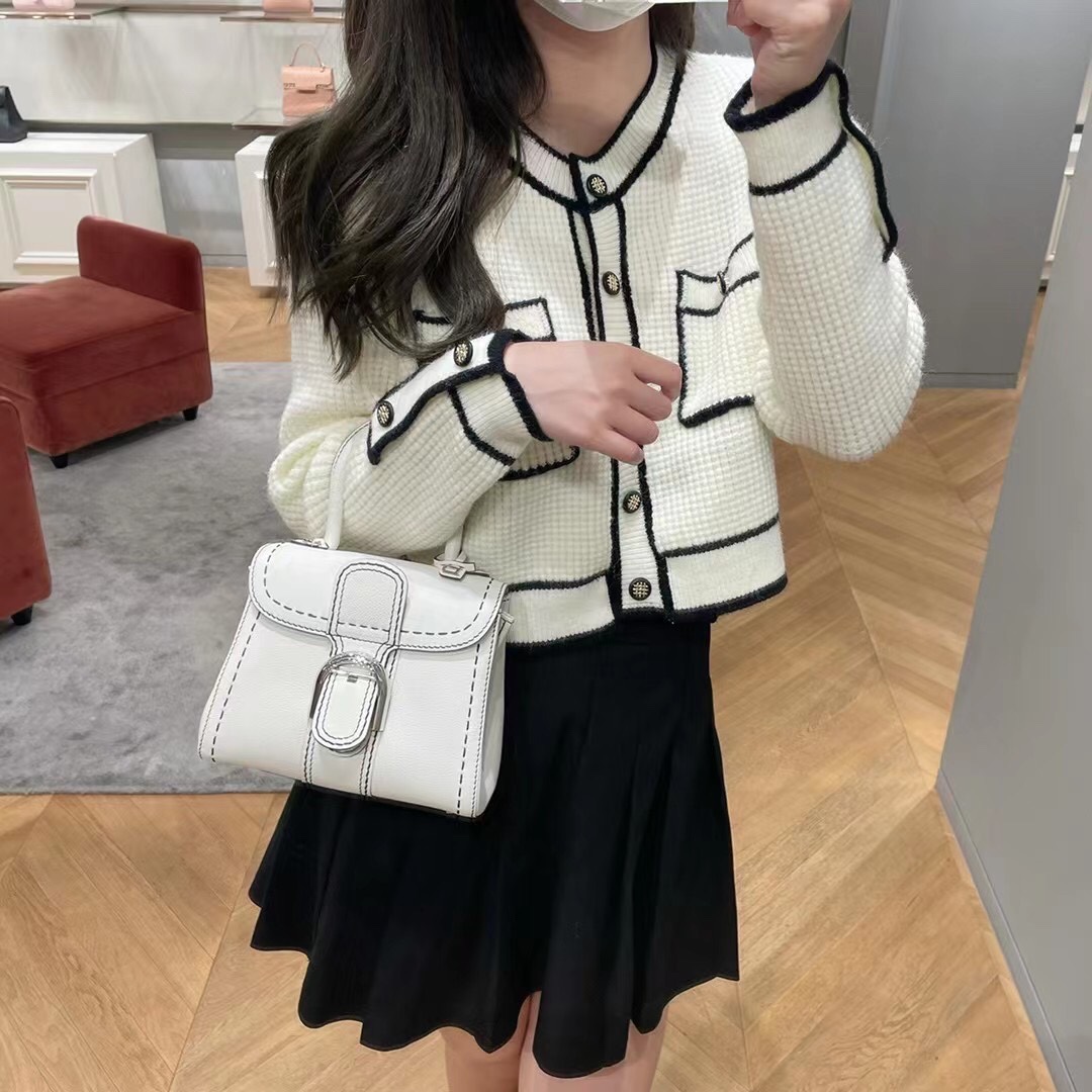 델보 브리앙 박스백 미니